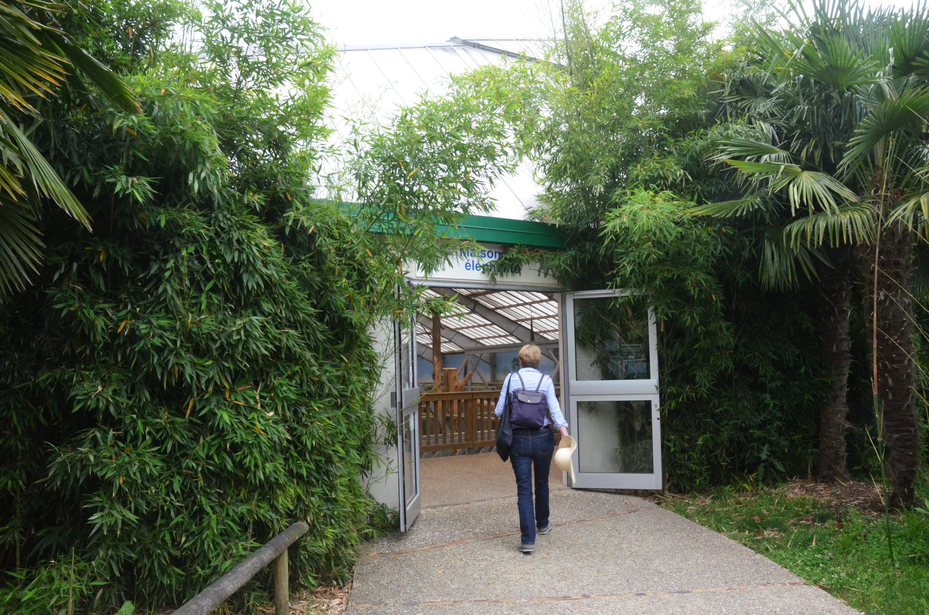 Elephant House at Beauval, 12/06/18