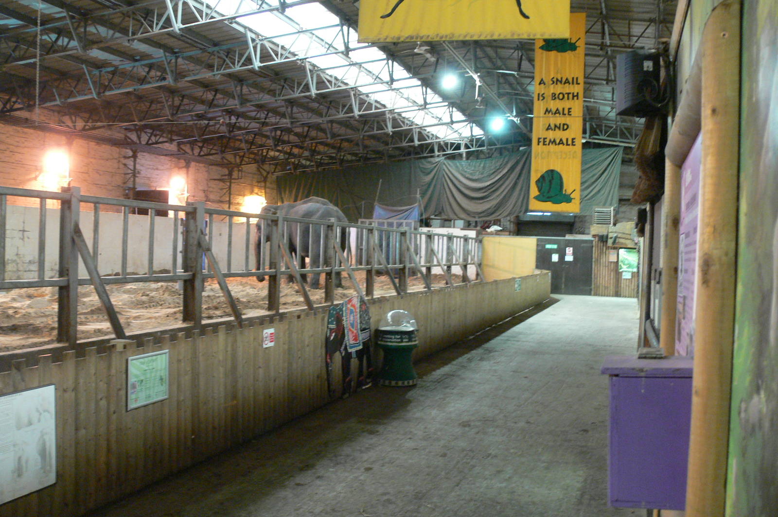 Elephant House at Blackpool Zoo, 15/01/15