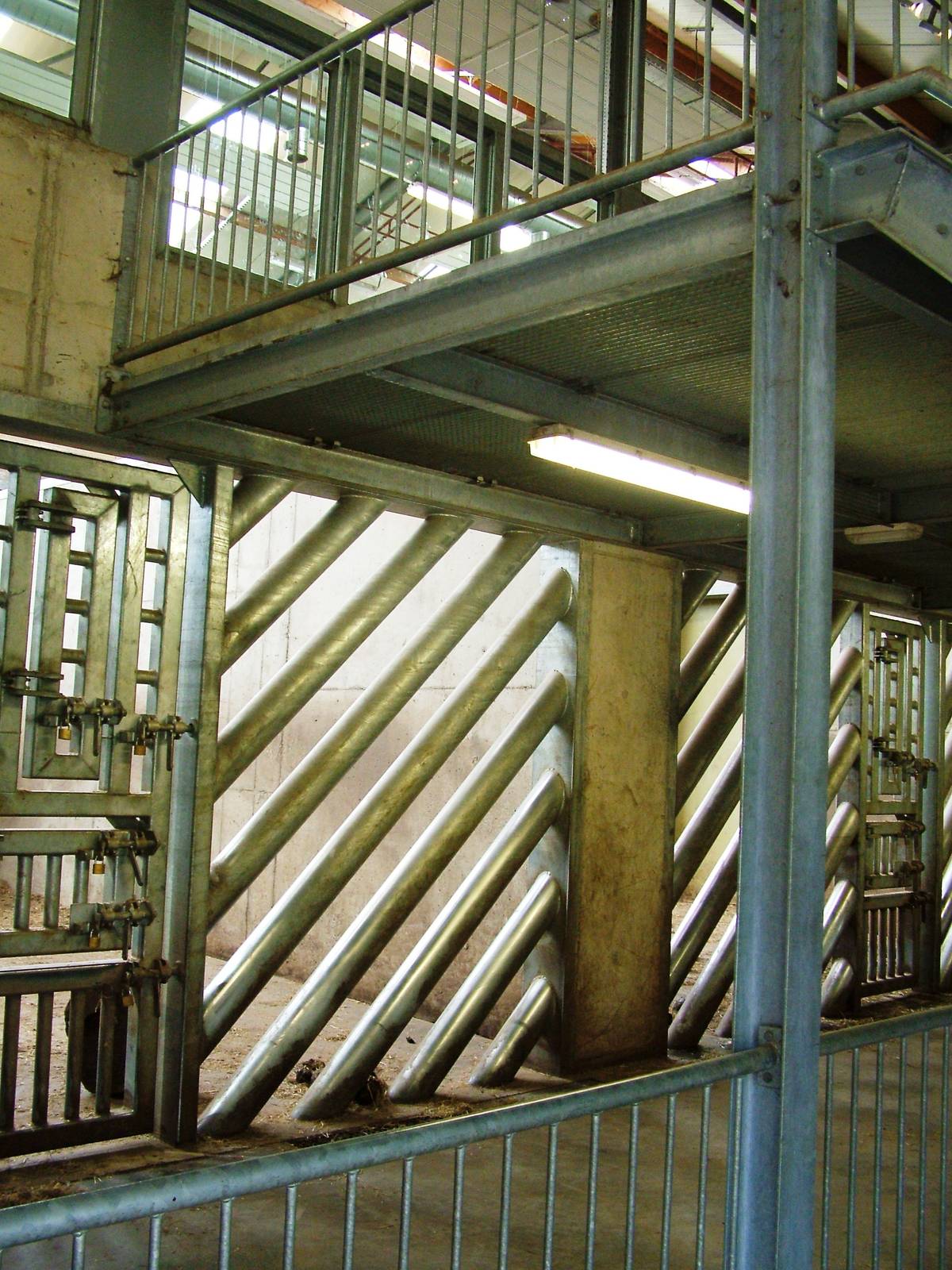 Elephant House at Dierenrijk, 31/05/12