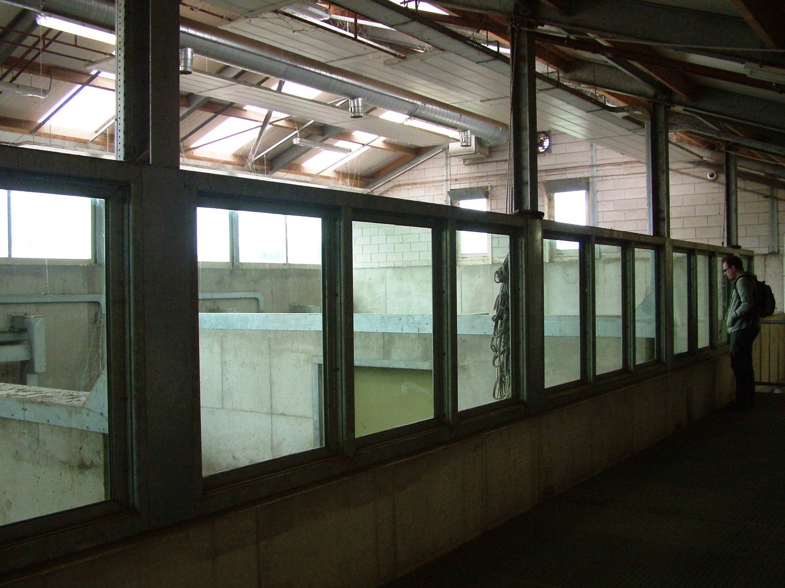 Elephant House at Dierenrijk, 31/05/12