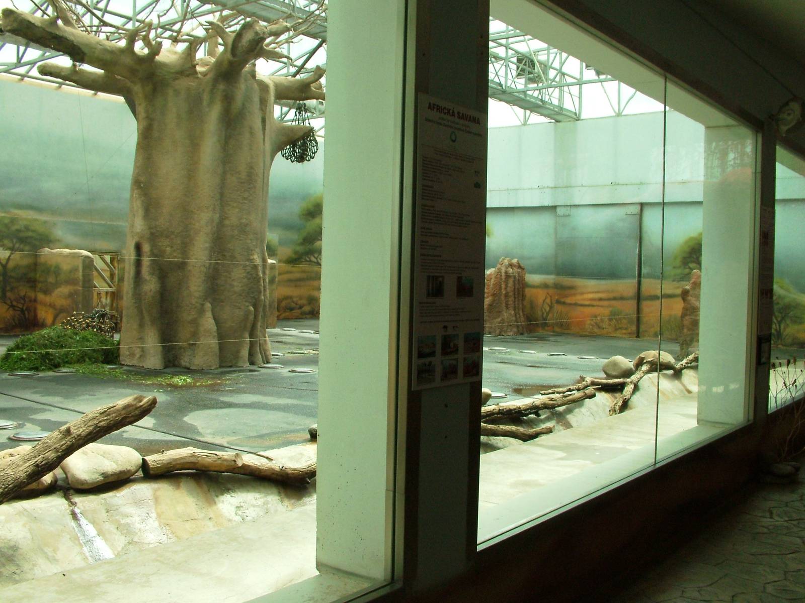 Elephant House at Dvur Kralove, 27/08/12