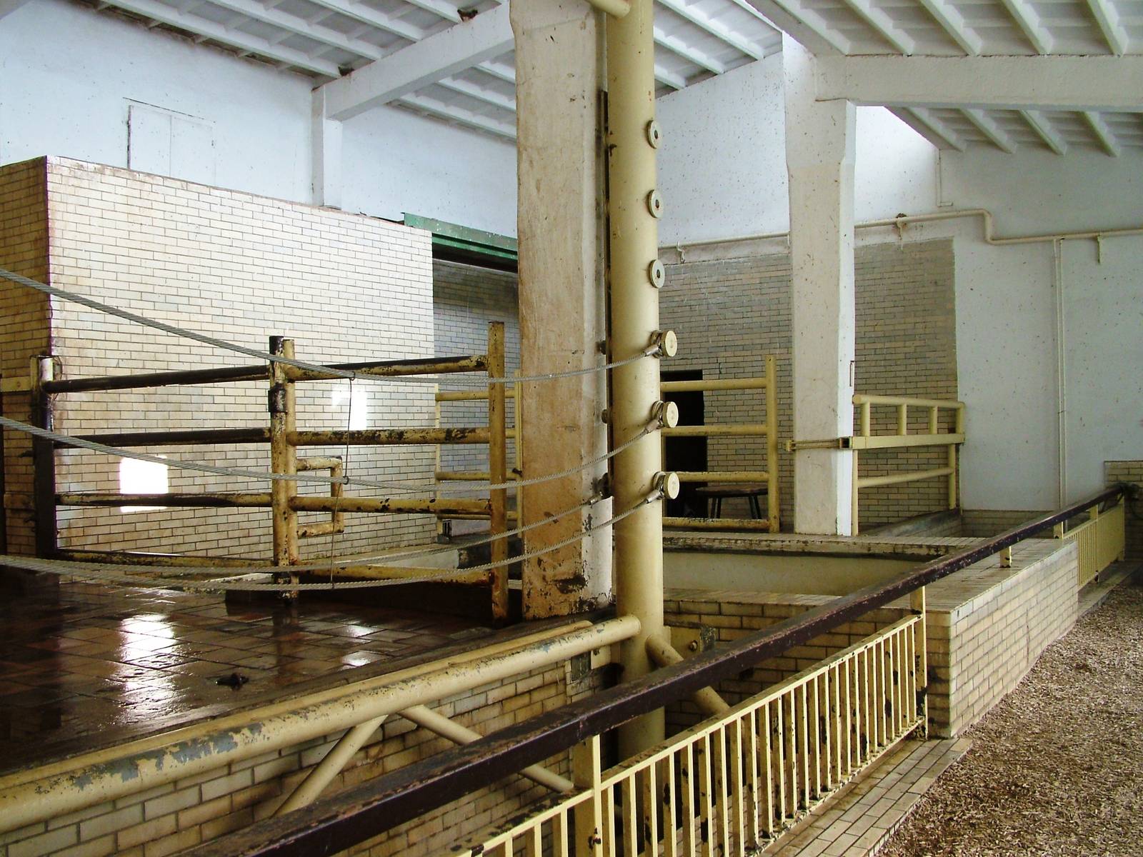 Elephant House at Liberec, 28/08/12