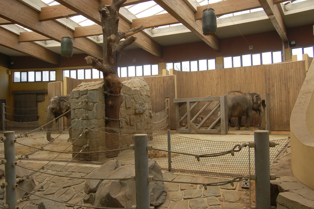 Elephant House at Ostrava Zoo