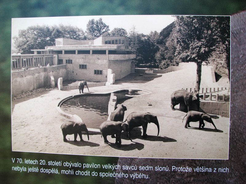 Elephant house at Prague zoo
