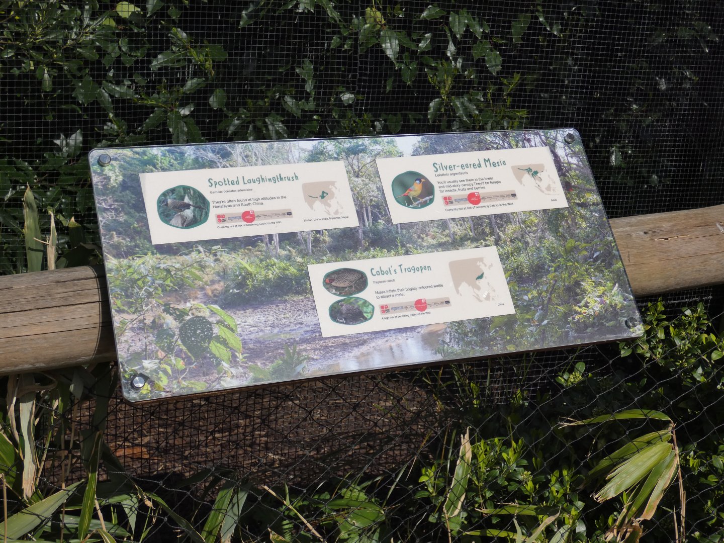 Elephant house aviary signage