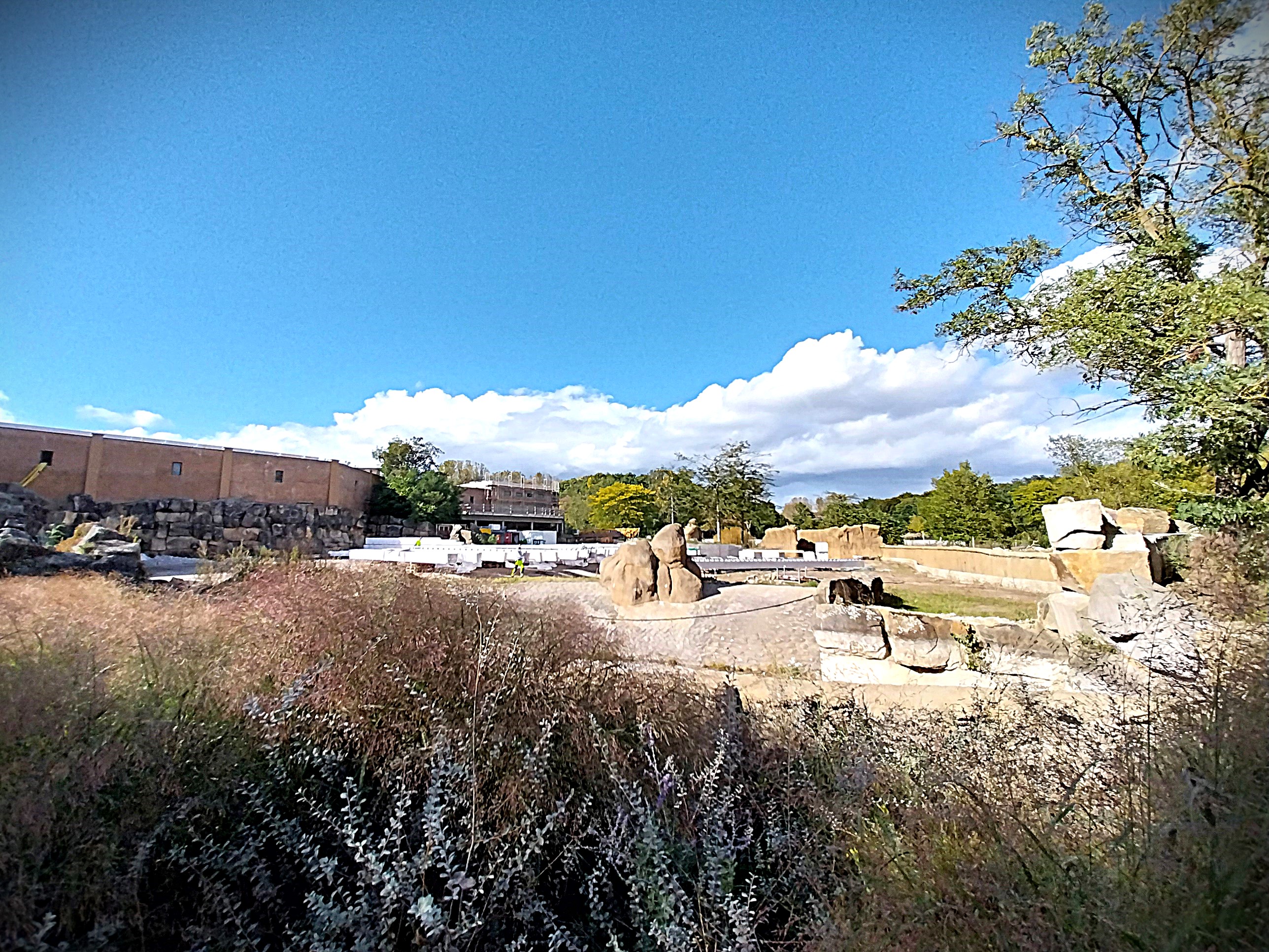 Elephant House construction site