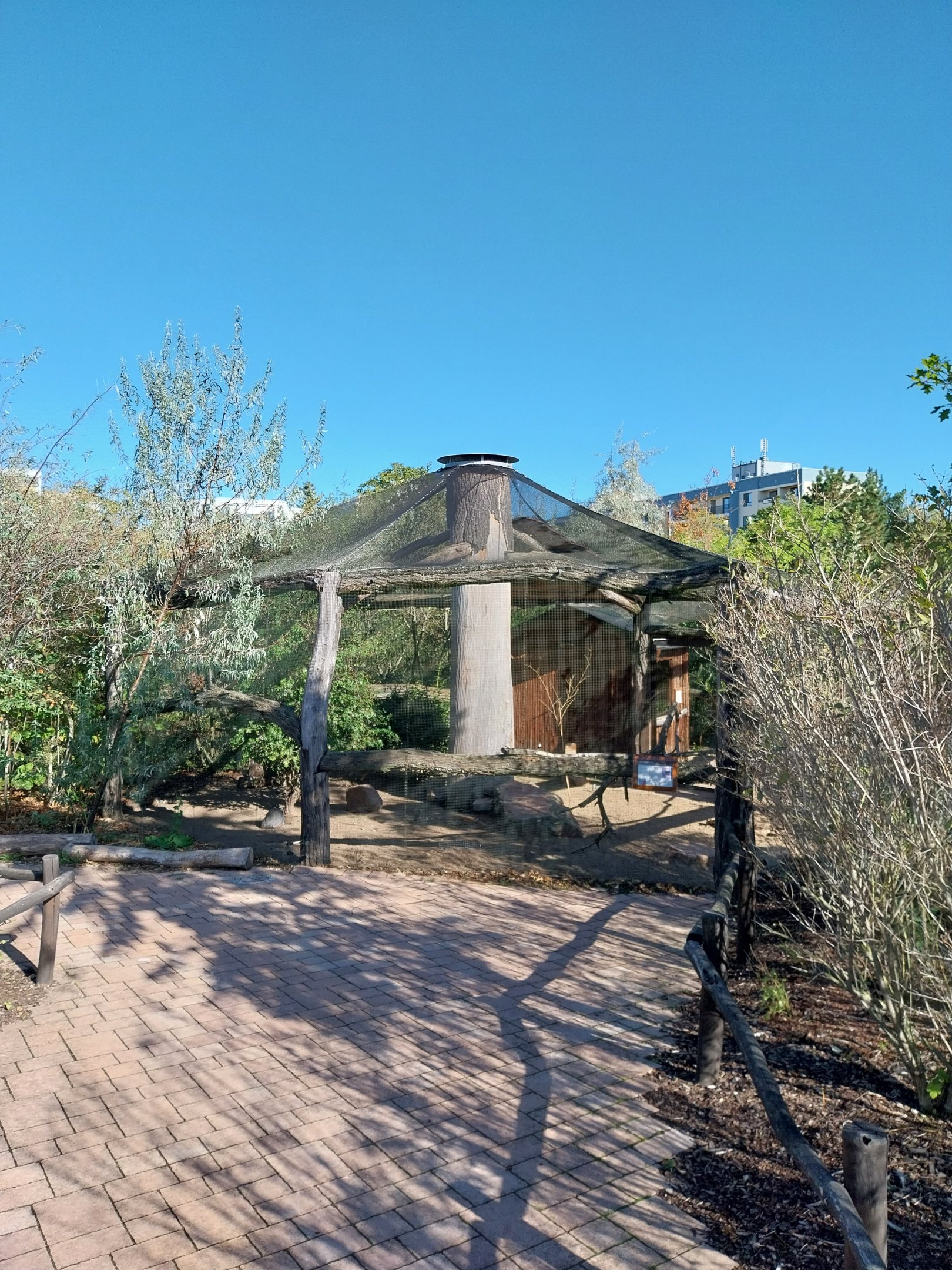 Elephant House - Domestic Guineafowl aviary
