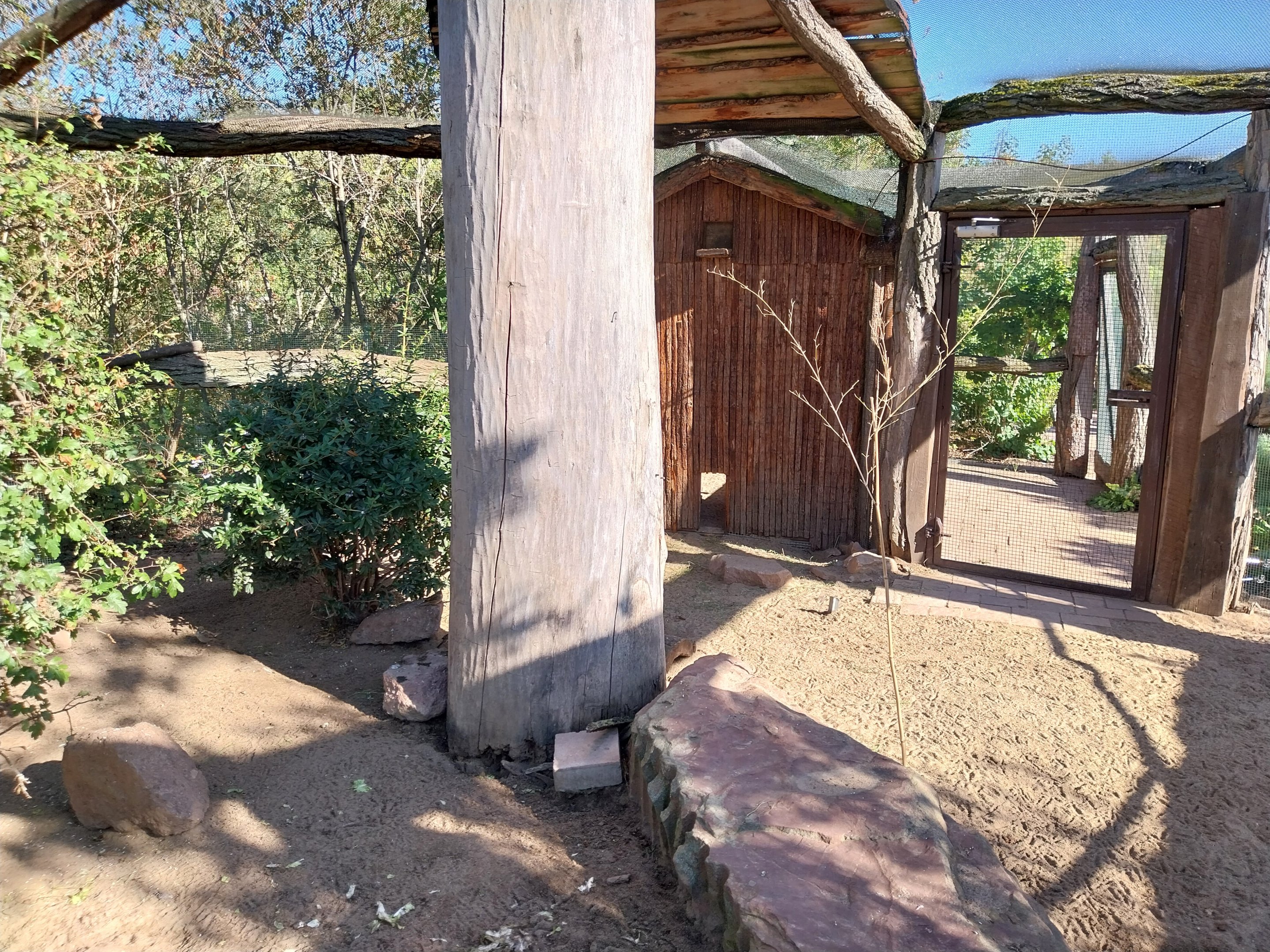 Elephant House - Domestic Guineafowl aviary