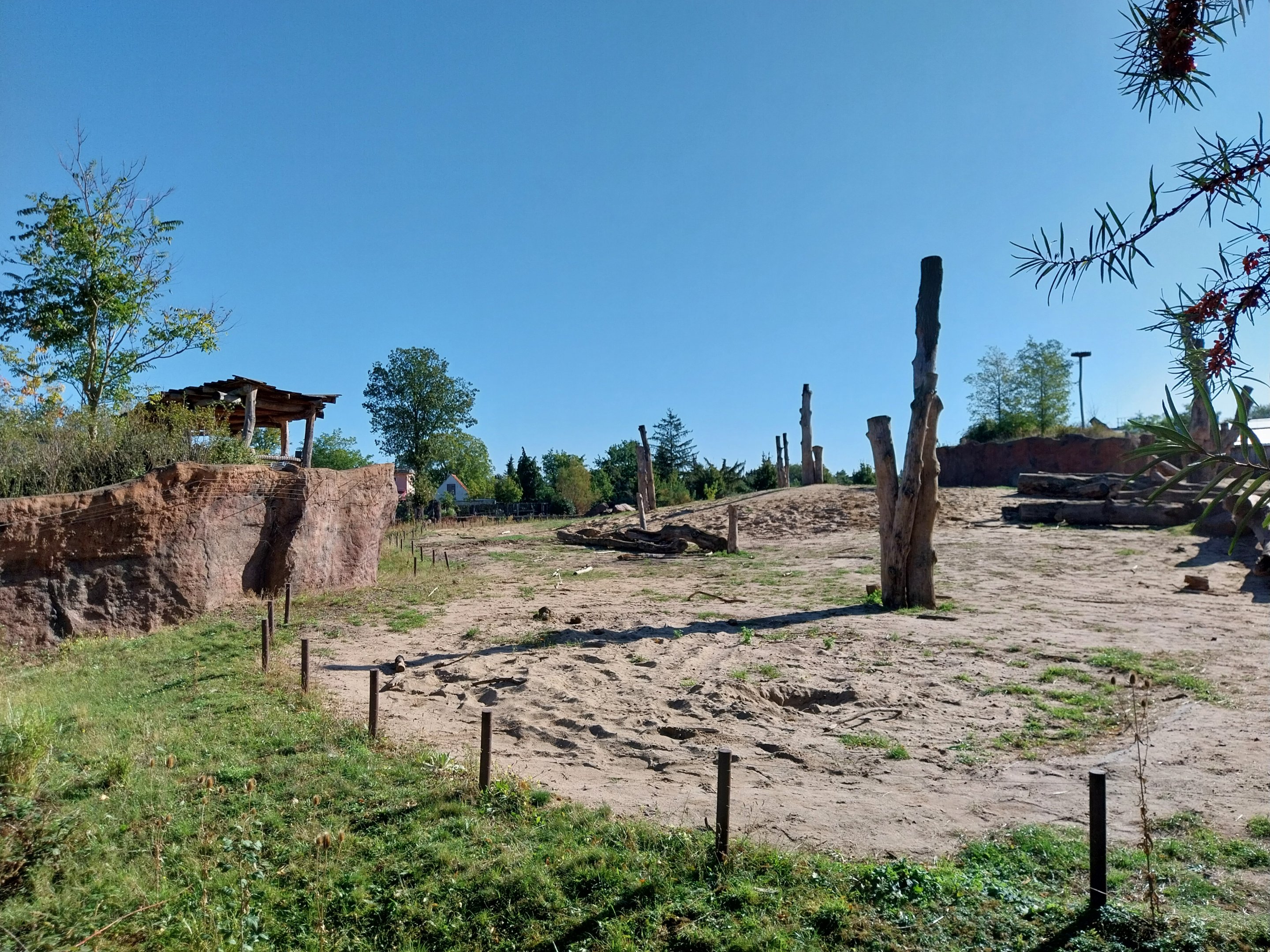 Elephant House - Domestic Guineafowl aviary