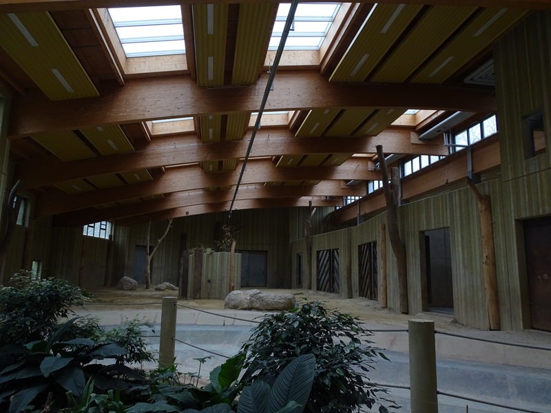 Elephant House: elephant indoor enclosure