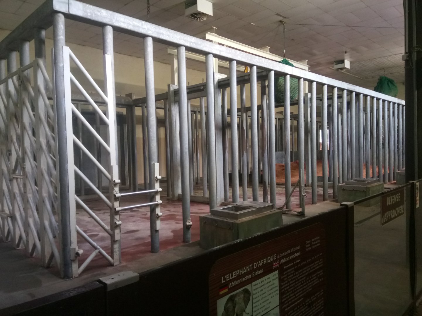 Elephant House : Elephants Indoor