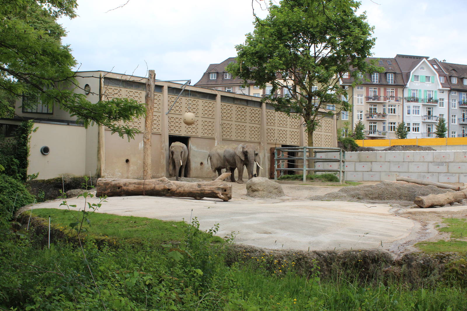 Elephant House & Enclosure