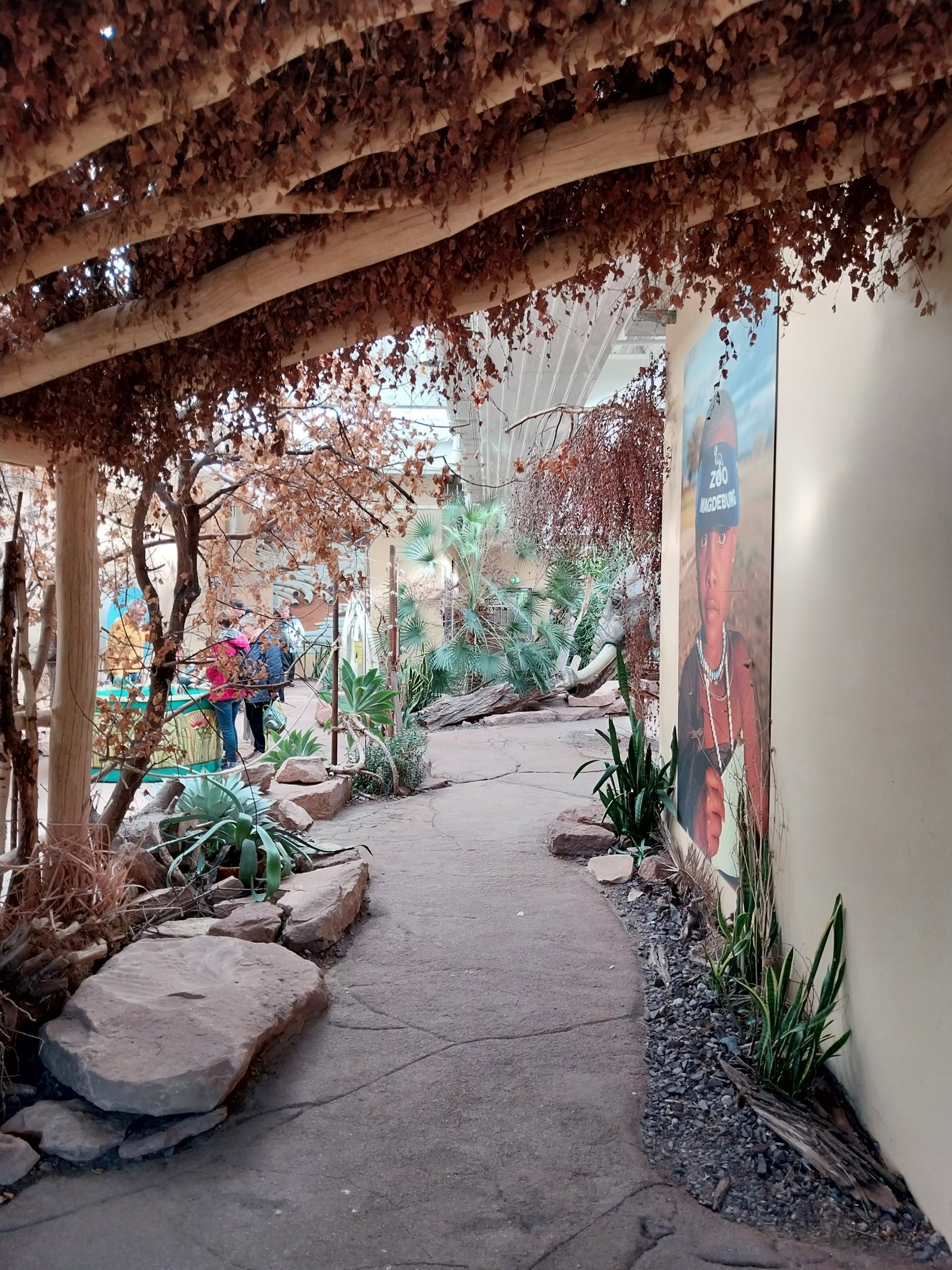 Elephant House - Exposition room