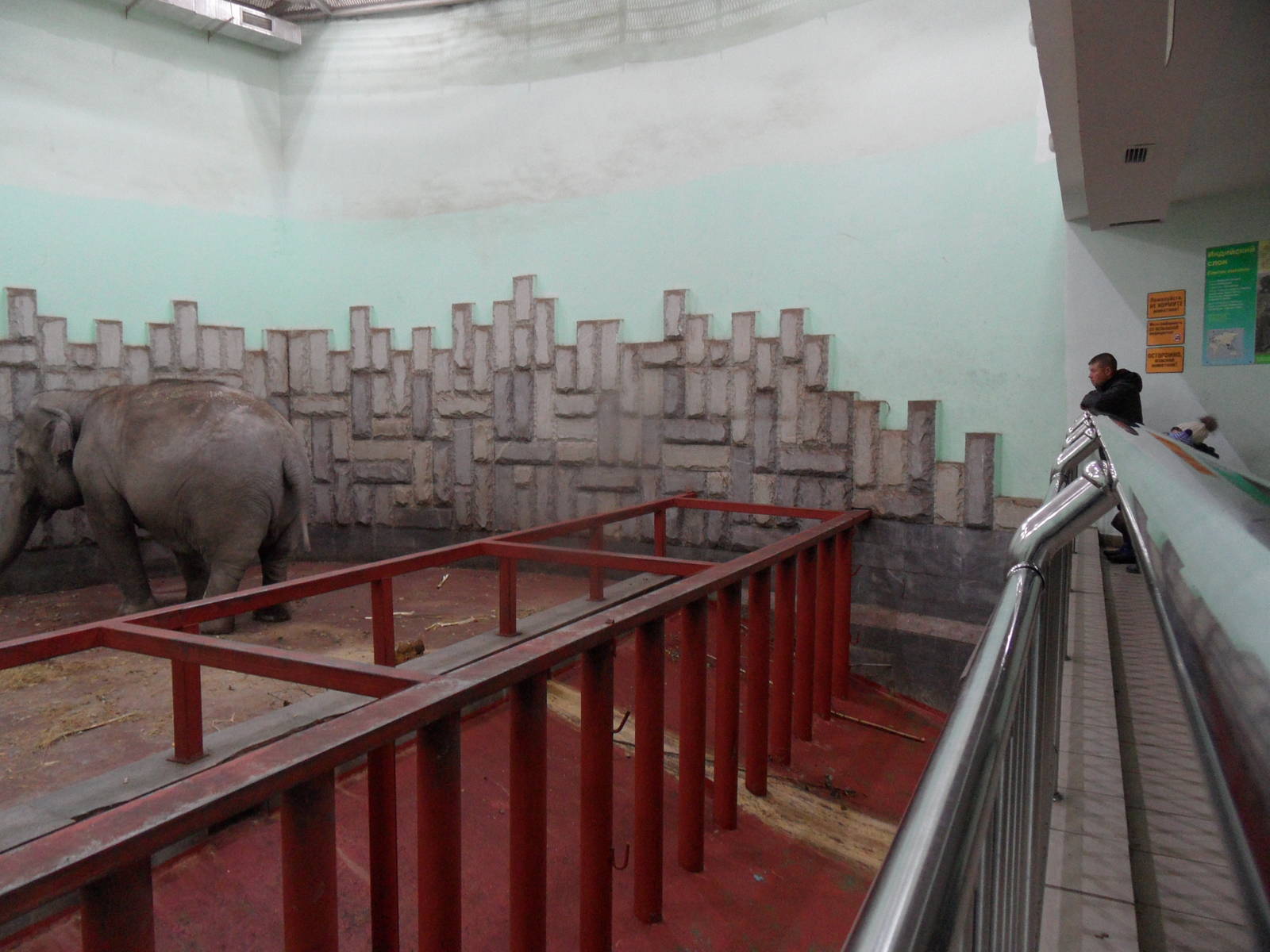 Elephant house - fences