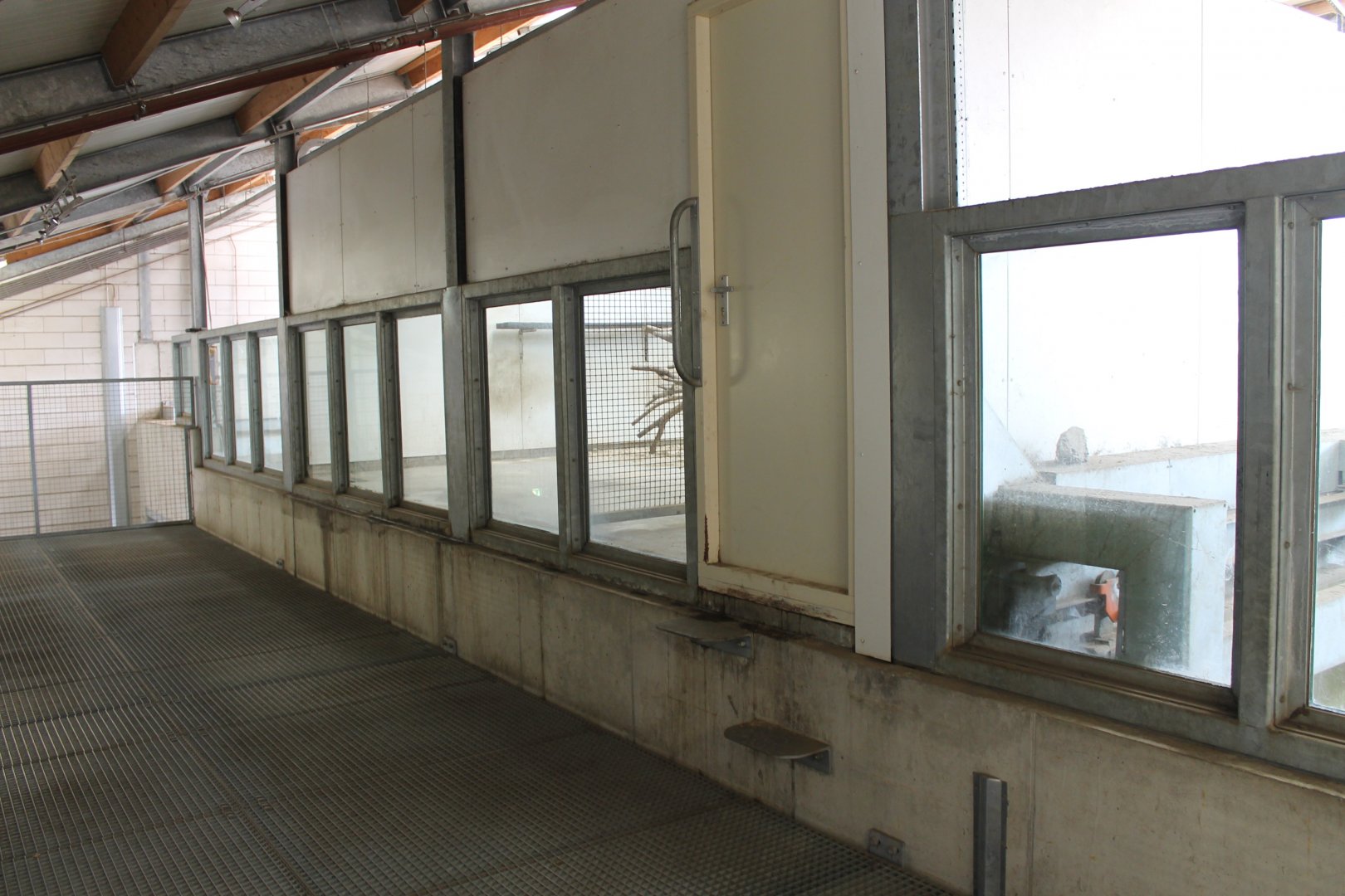 Elephant-house First floor Macaque Indoors