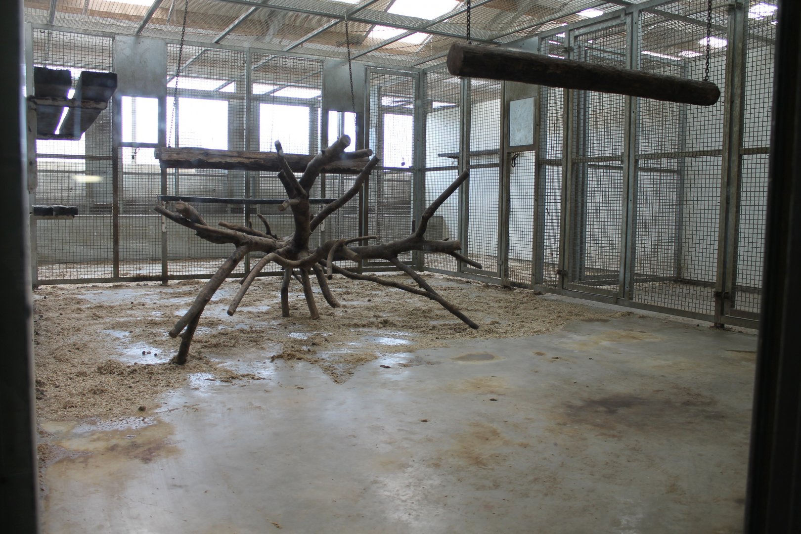 Elephant-house First floor Macaque Indoors