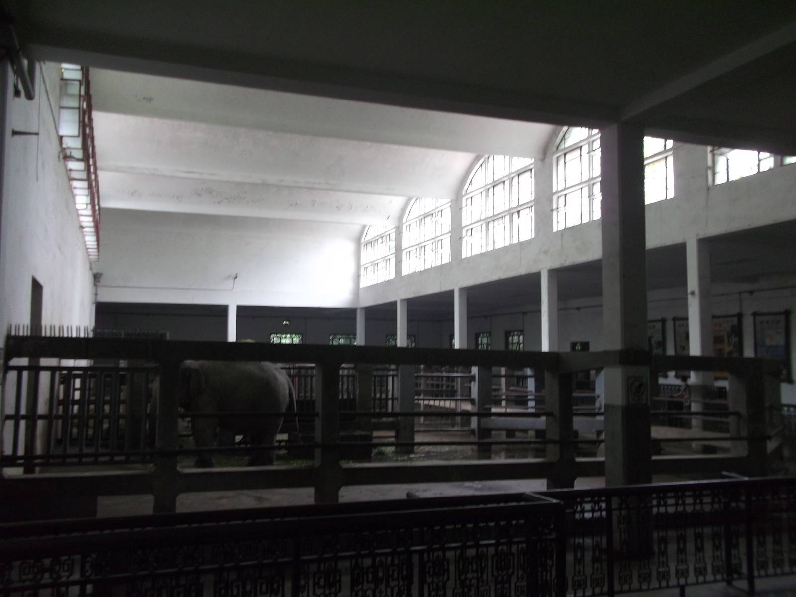 Elephant house from the side