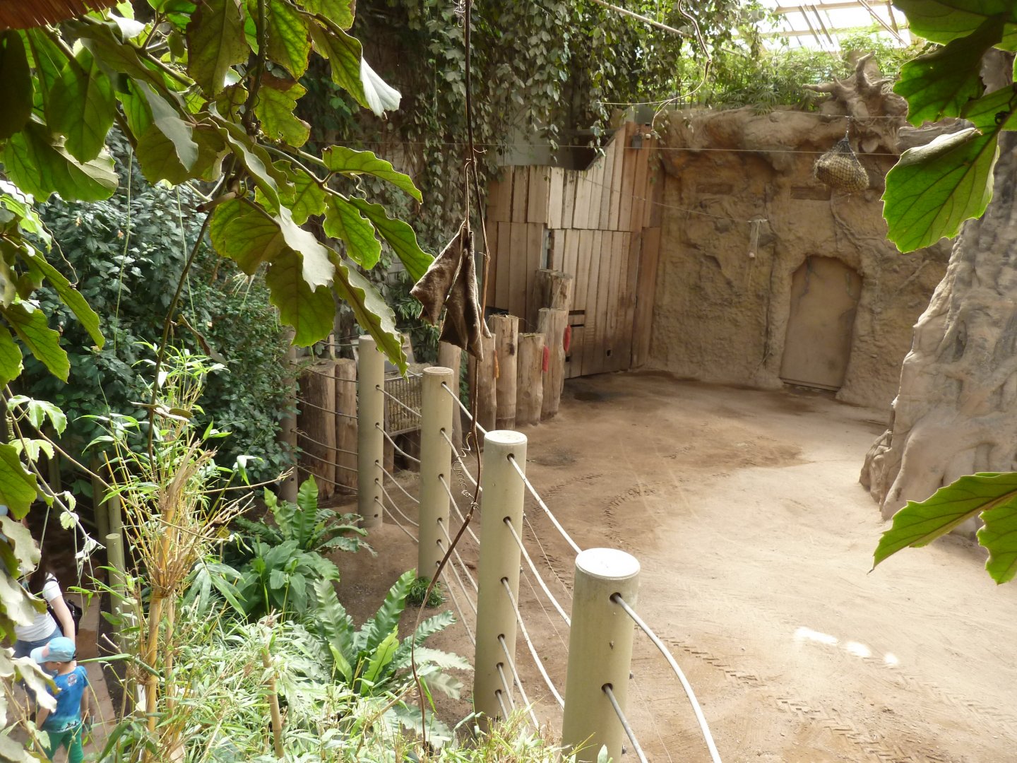 Elephant house from viewing deck