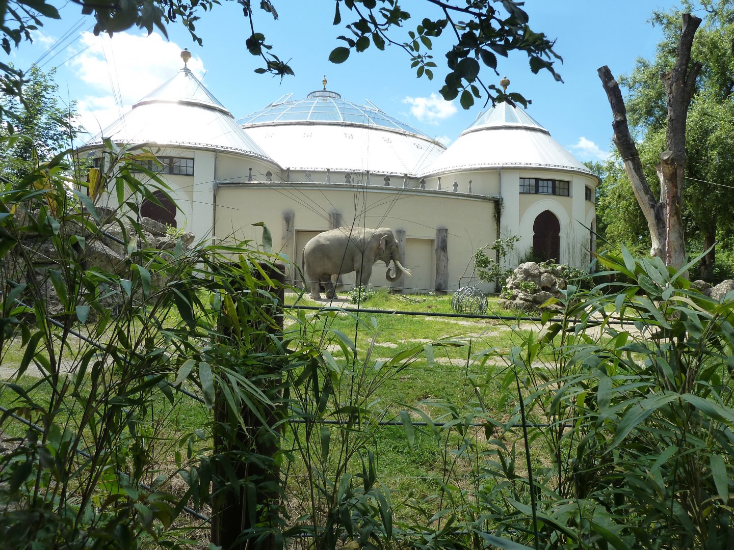 Elephant house - Gajendra