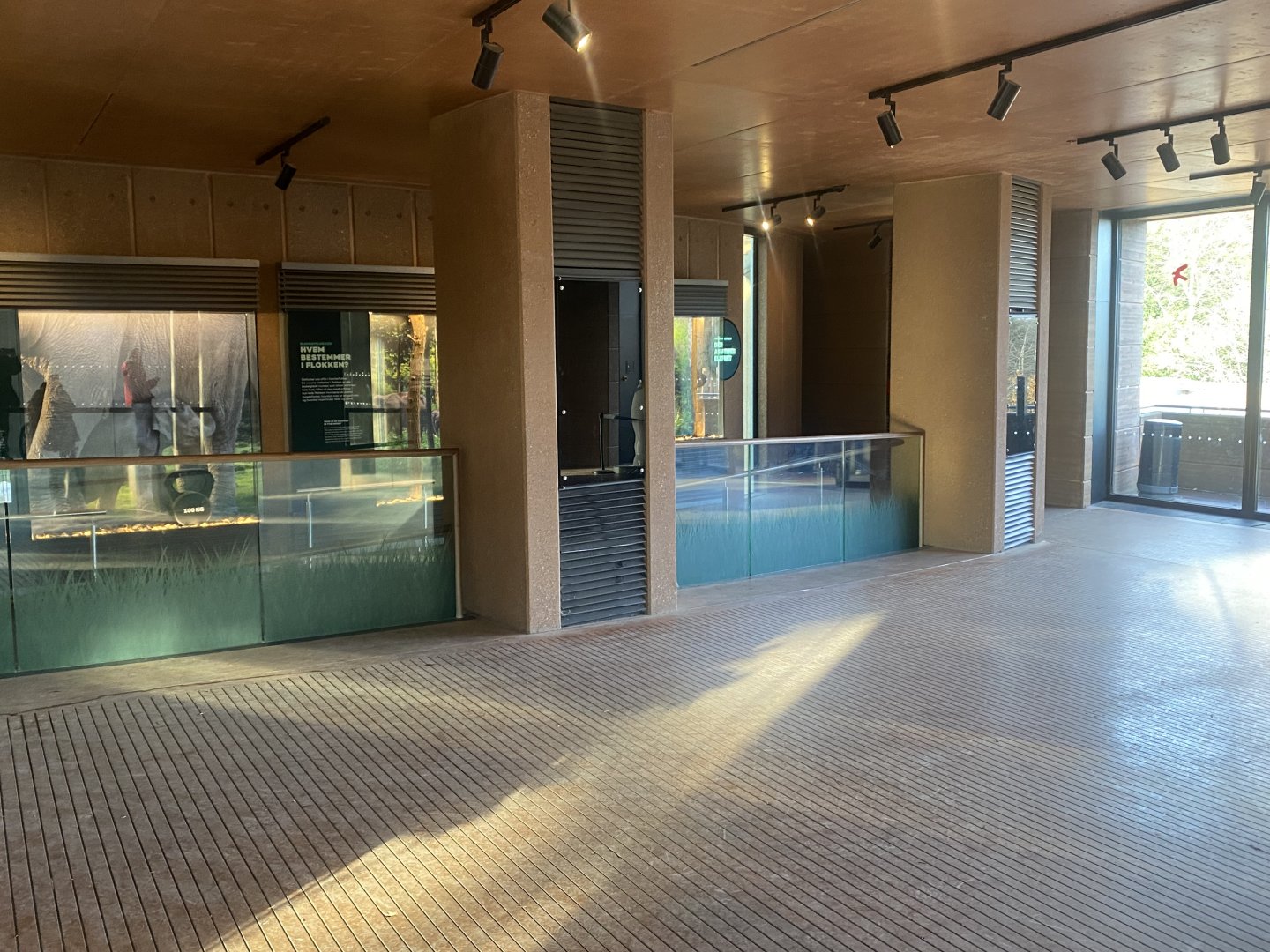 Elephant House indoors 261124