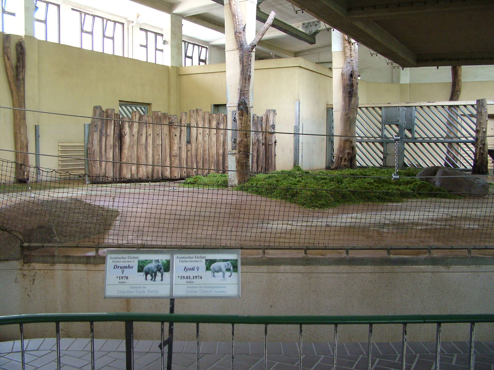 Elephant House Interior at Berlin Zoo, 31/08/11