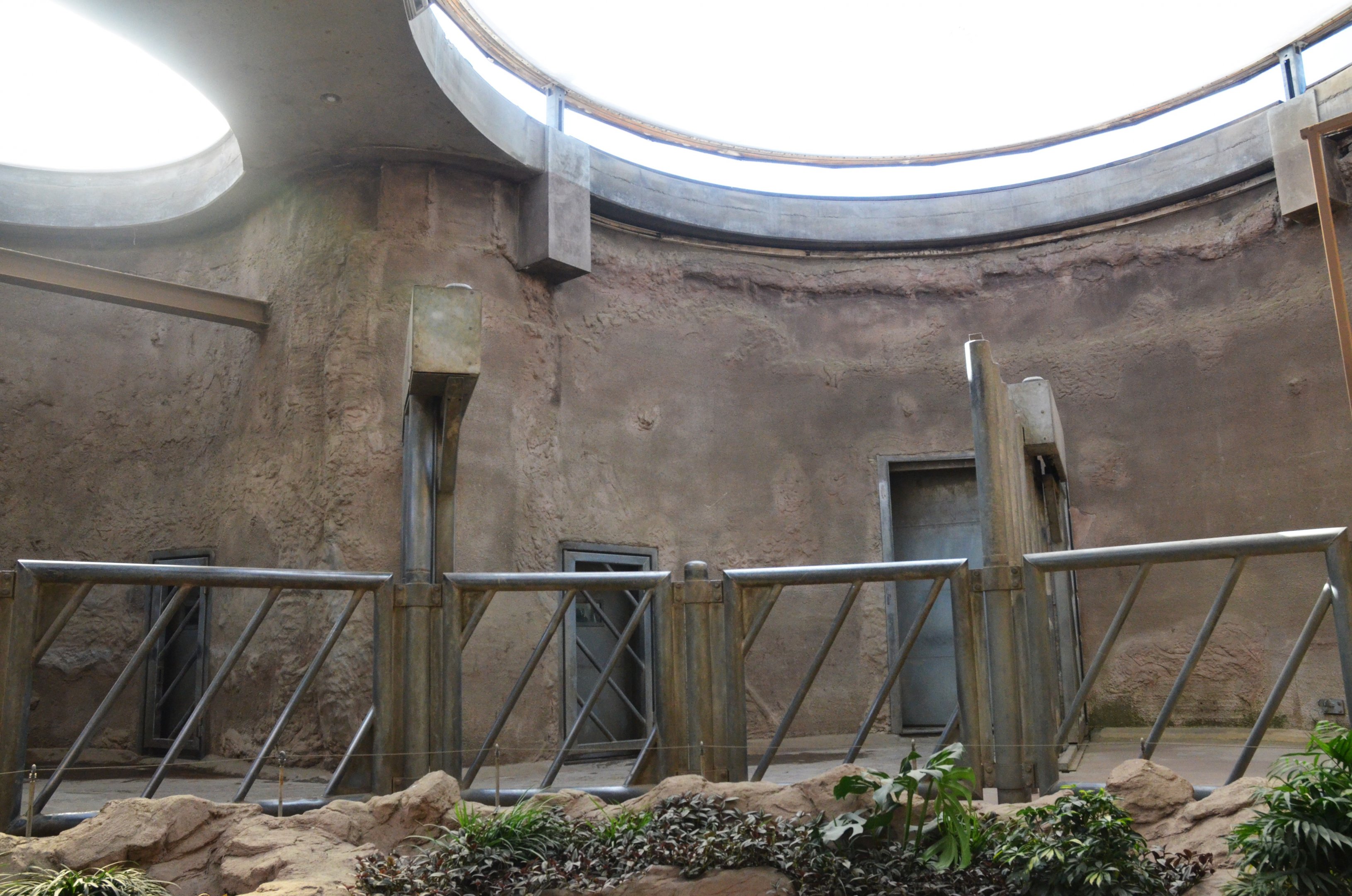 Elephant House Interior at Duisburg, 17/06/19
