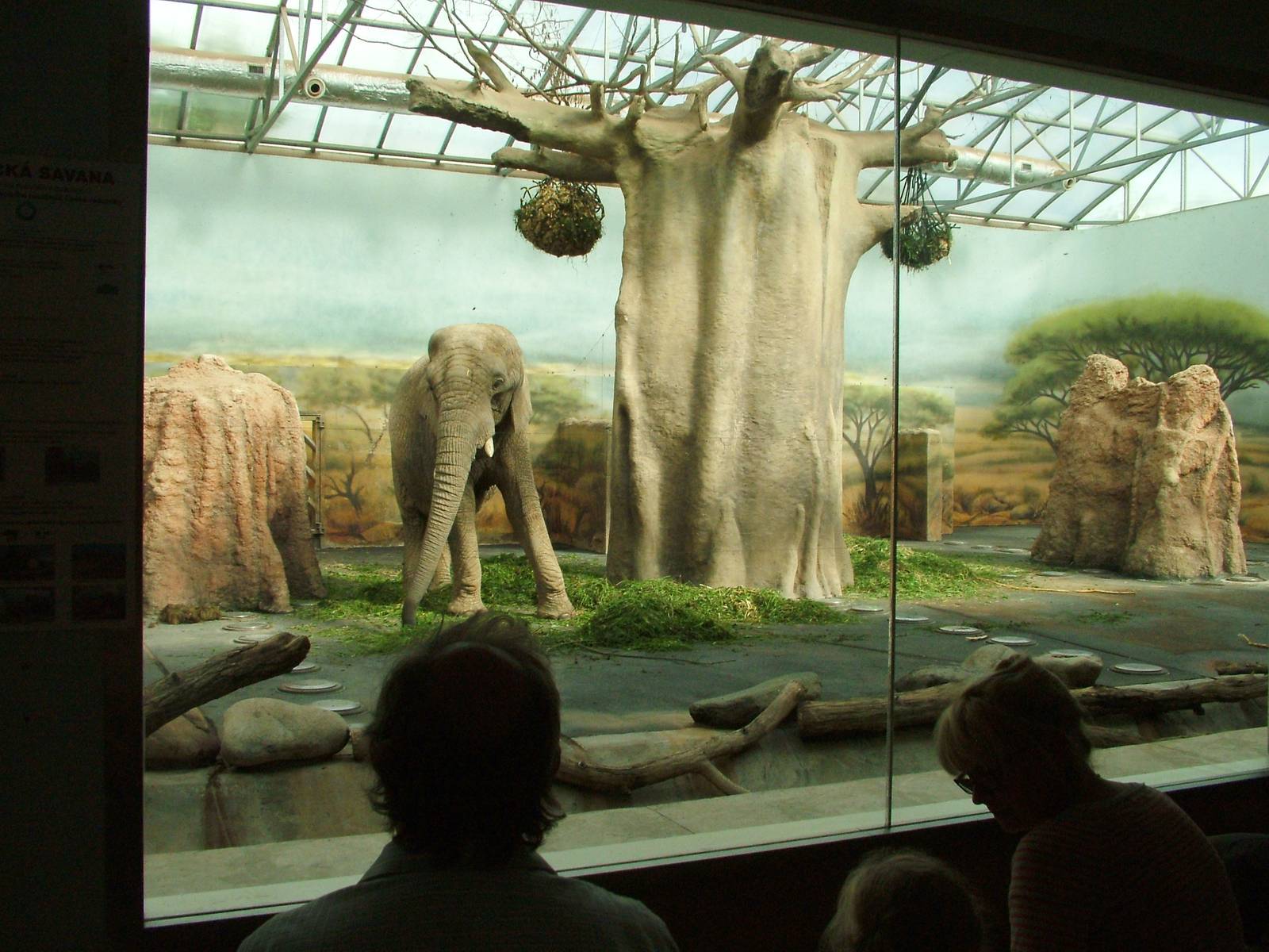 Elephant House Interior at Dvur Kralove, 27/08/12