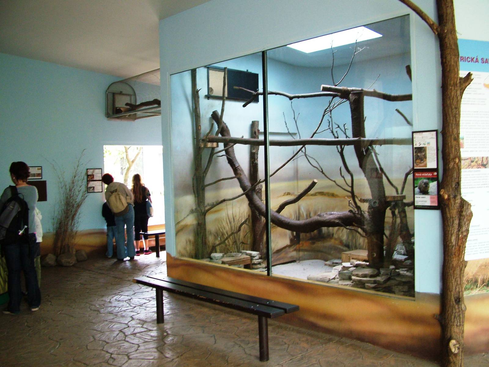 Elephant House Interior at Dvur Kralove, 27/08/12