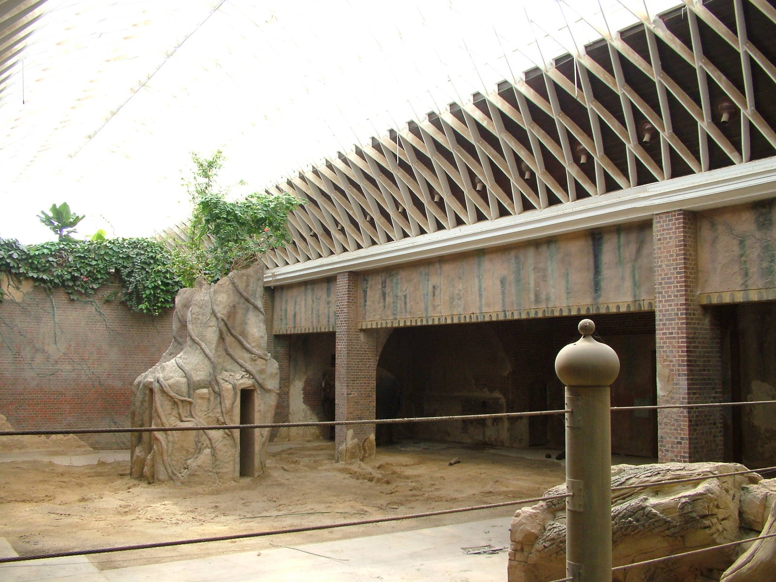 Elephant House Interior at Leipzig, 02/09/11
