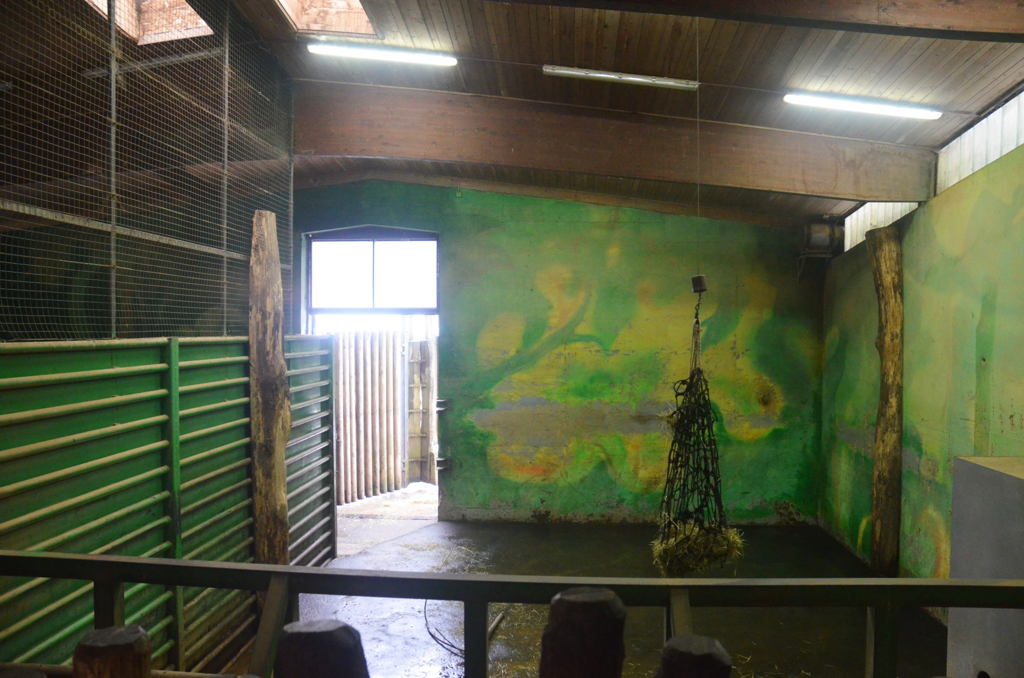 Elephant House Interior at Ljubljana Zoo, 07/03/18