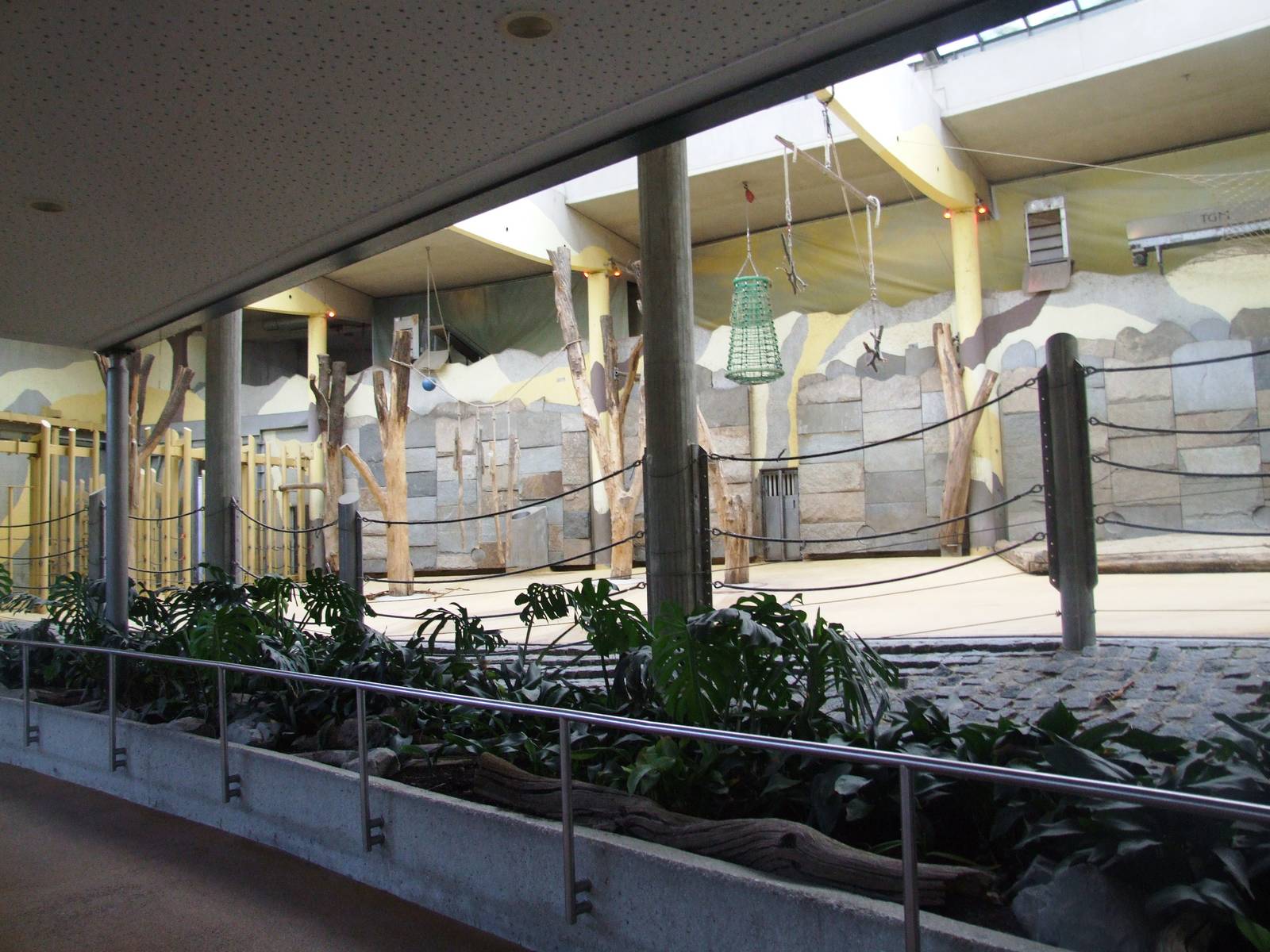 Elephant House Interior at Vienna, 14/06/13