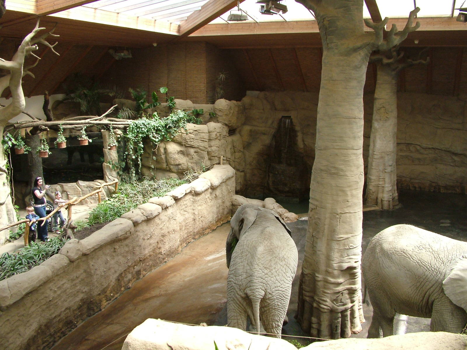 Elephant House interior at Zlin, 28/05/10