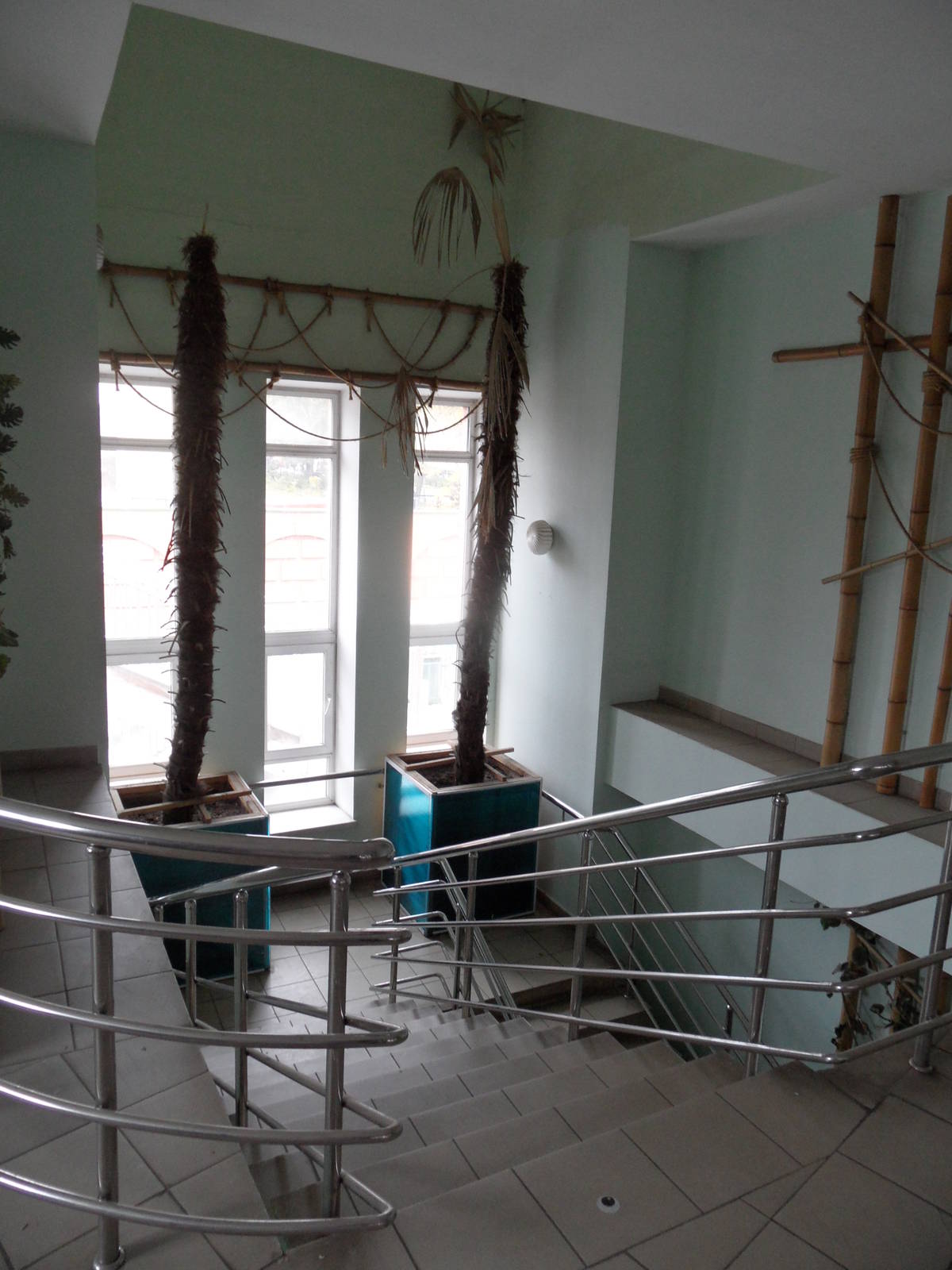 Elephant house interior - stairs to 2nd floor