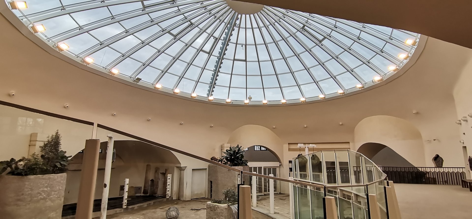 Elephant House interior