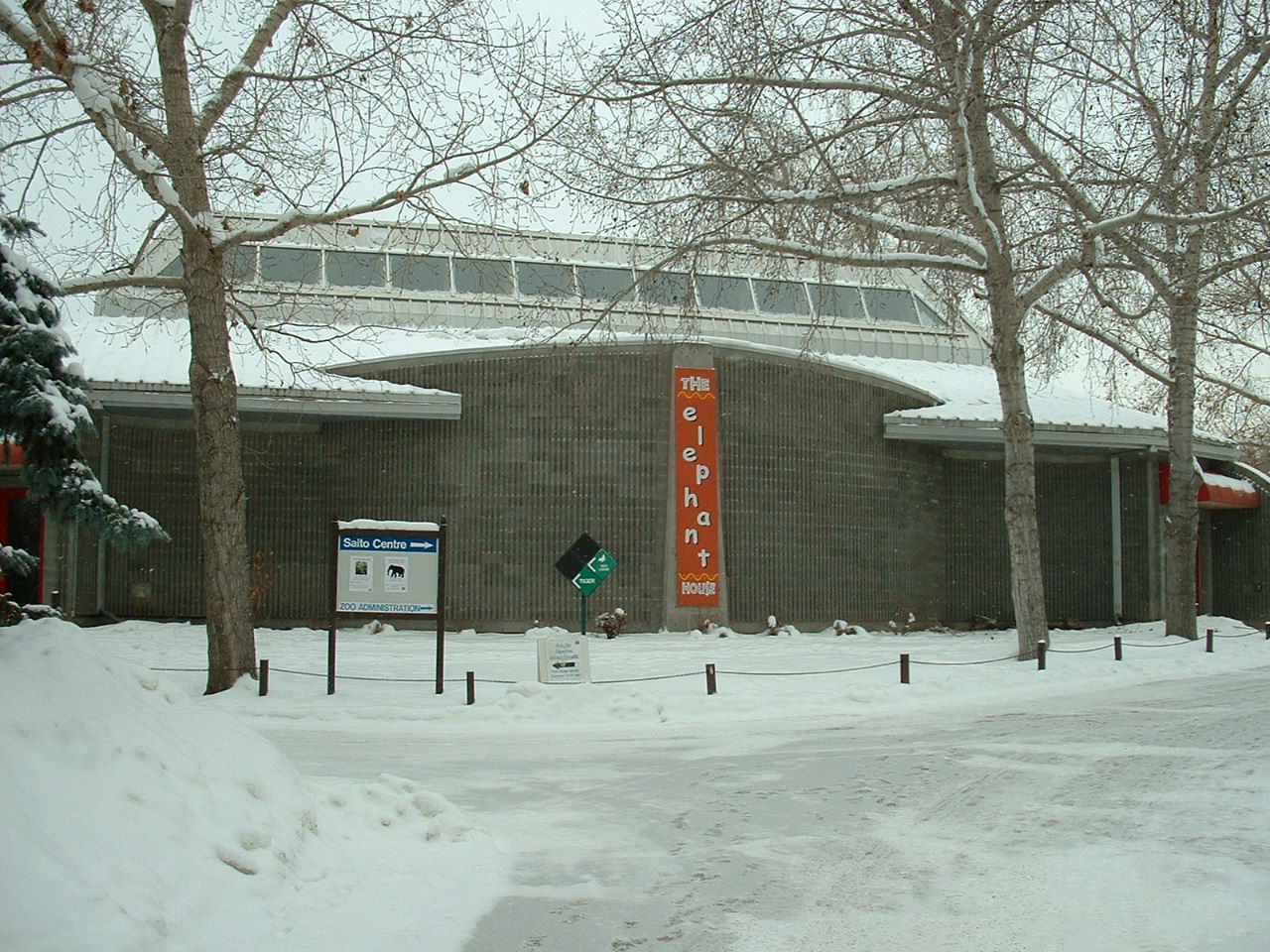 Elephant House - Nov 2012