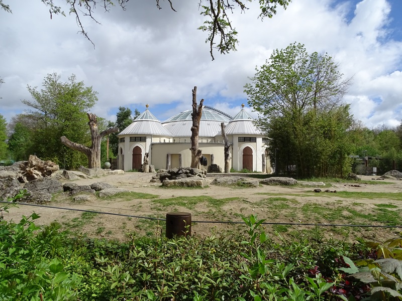 Elephant house  + outdoor enclosure