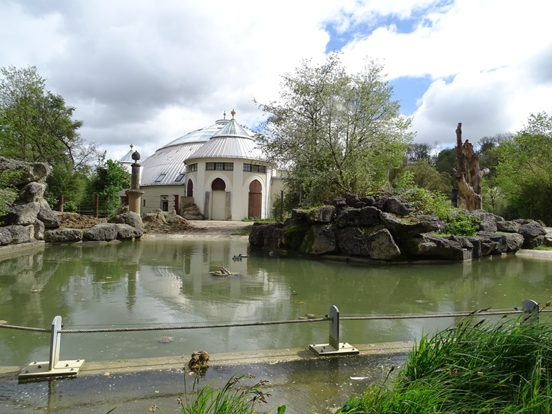 Elephant house  + outdoor enclosure