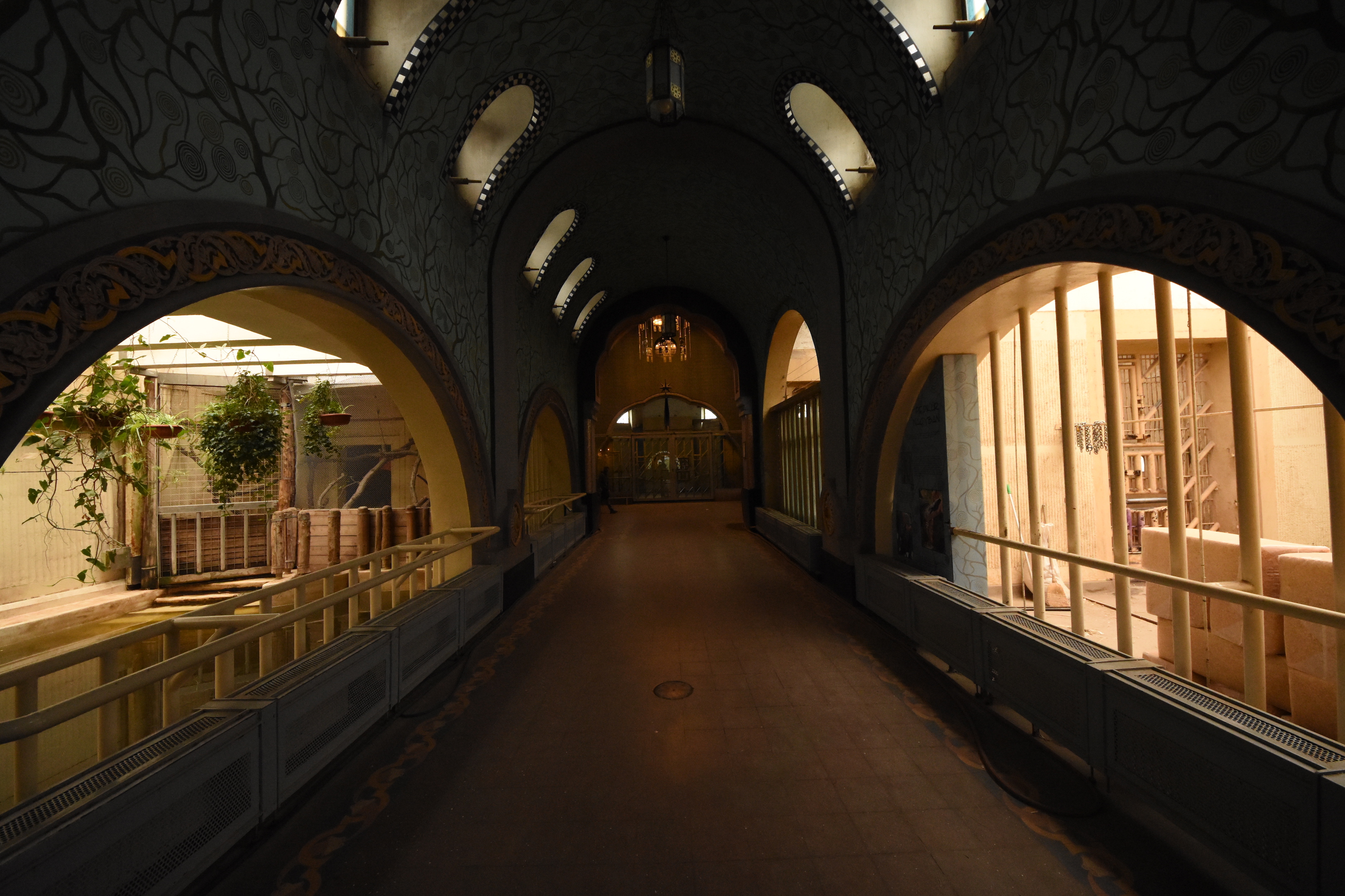 Elephant house - overview