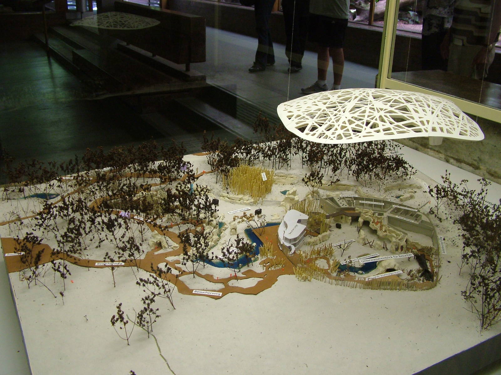 Elephant House plans at Zurich 31/08/09