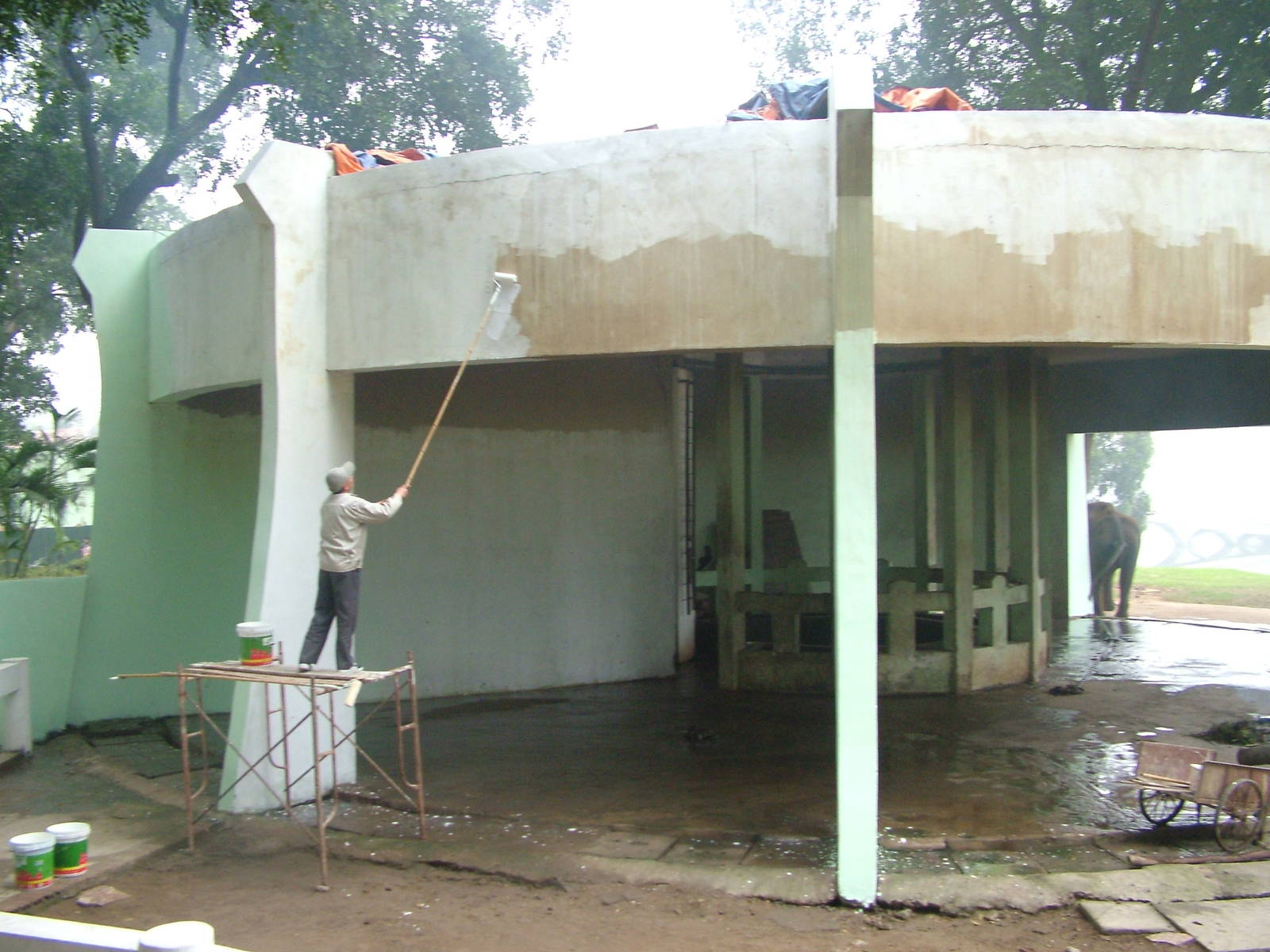 Elephant House Renovation at Hanoi Zoo, 15/03/12