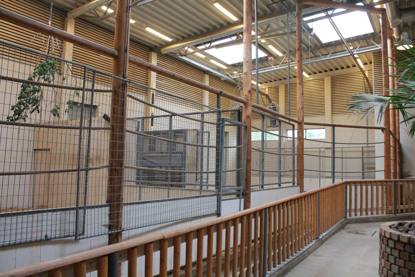 Elephant house - Rothschild's giraffe indoor exhibit