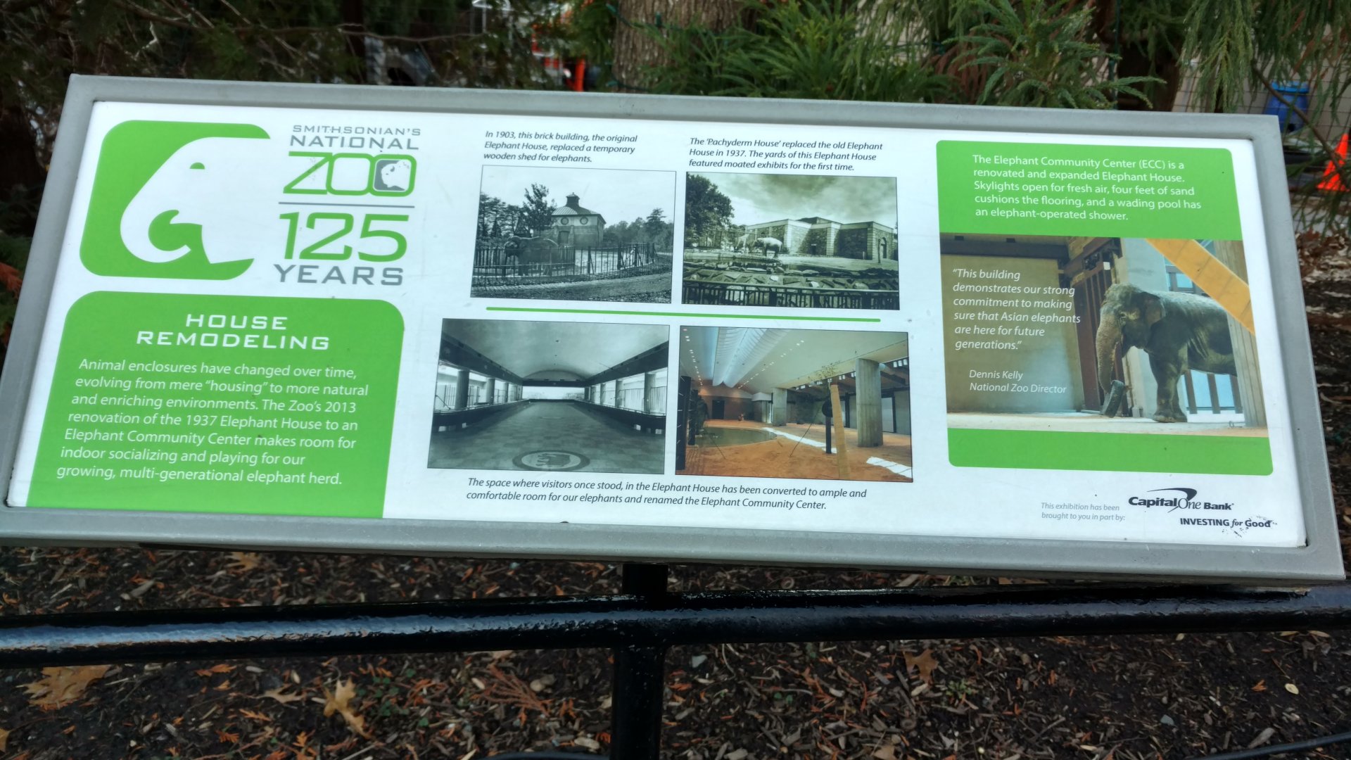 Elephant House(s) History