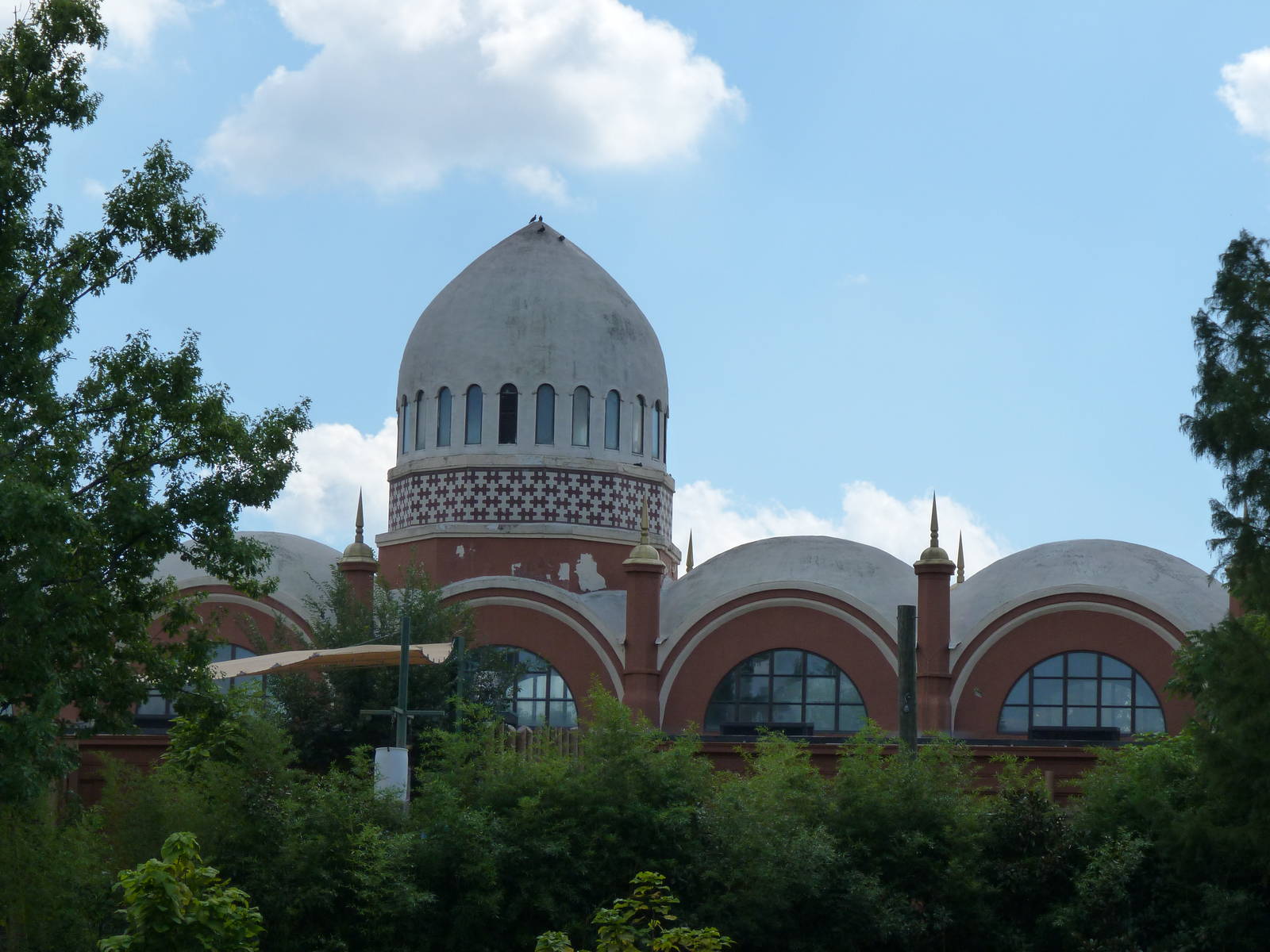 Elephant House - September 2014