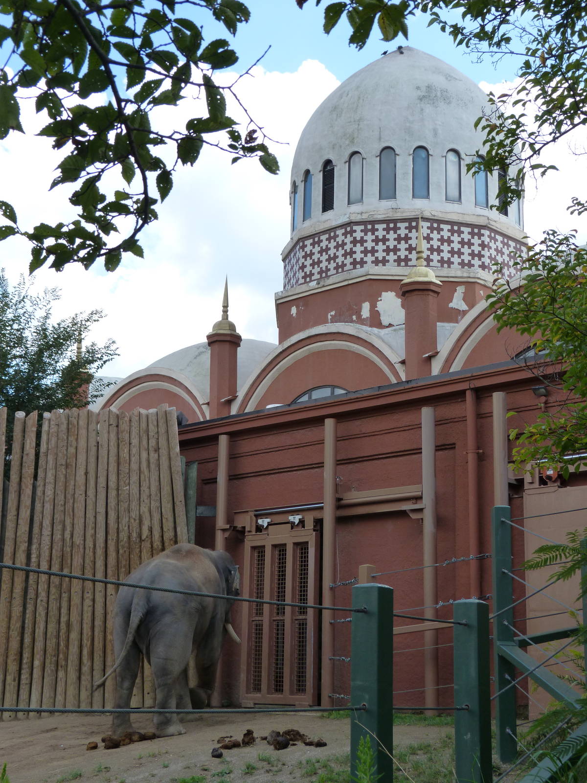Elephant House - September 2014