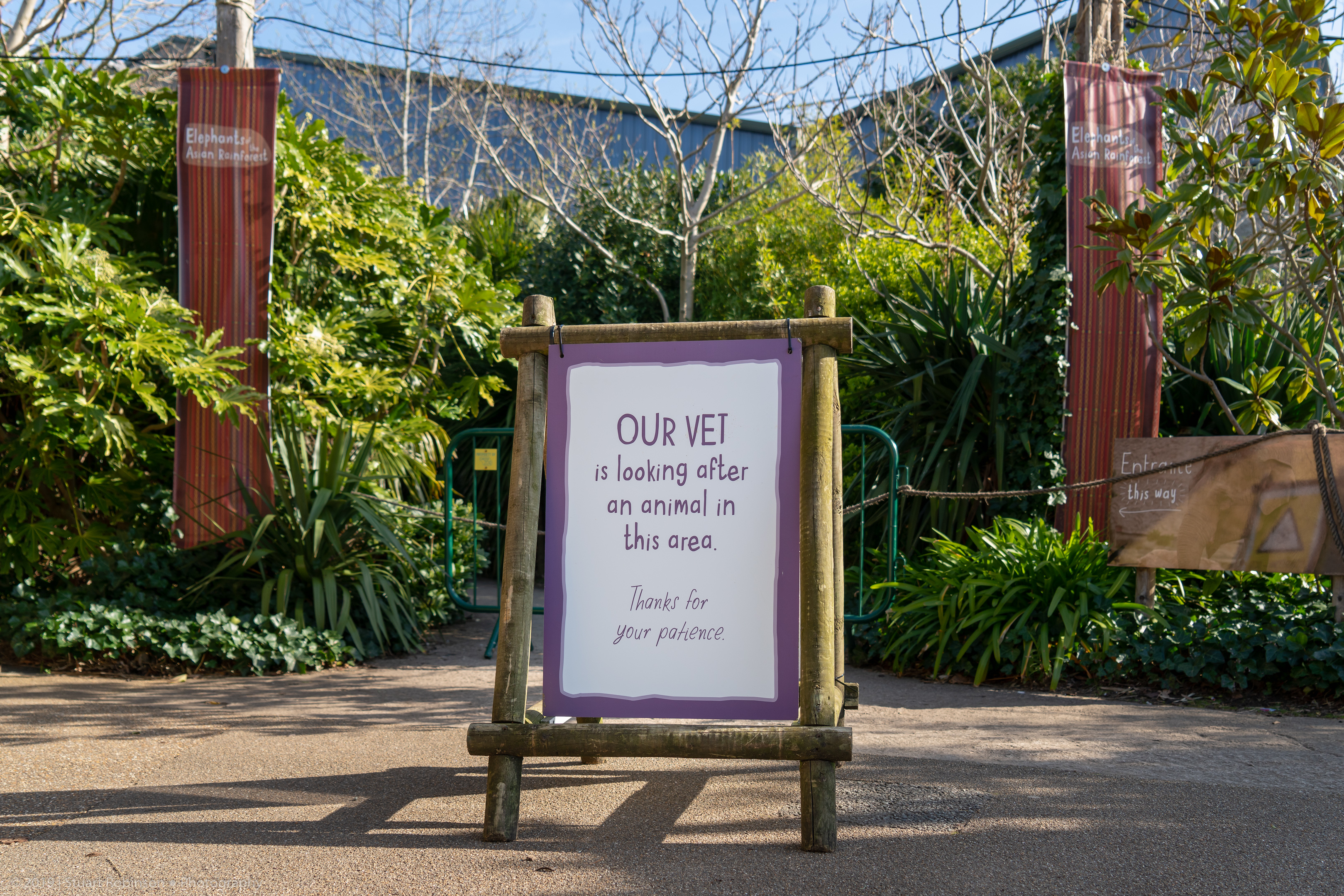 Elephant House Sign - 26/03/2019