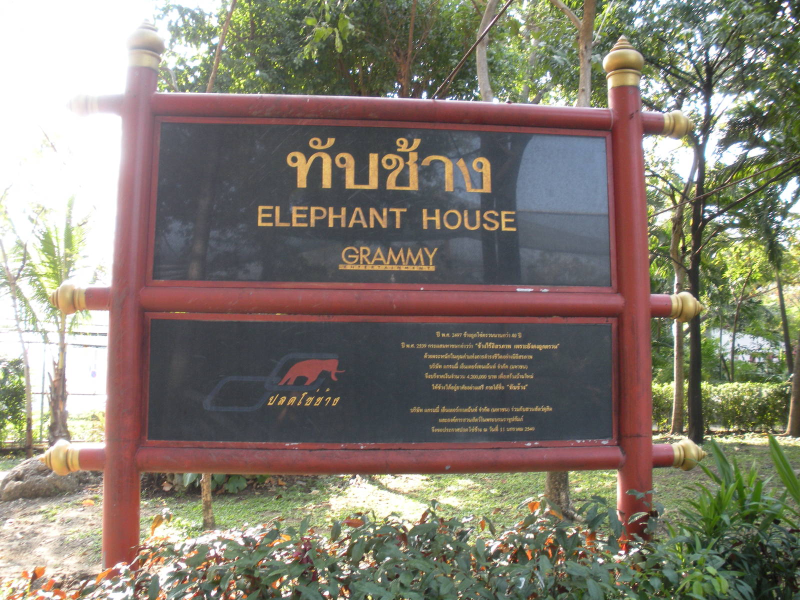 Elephant House signage