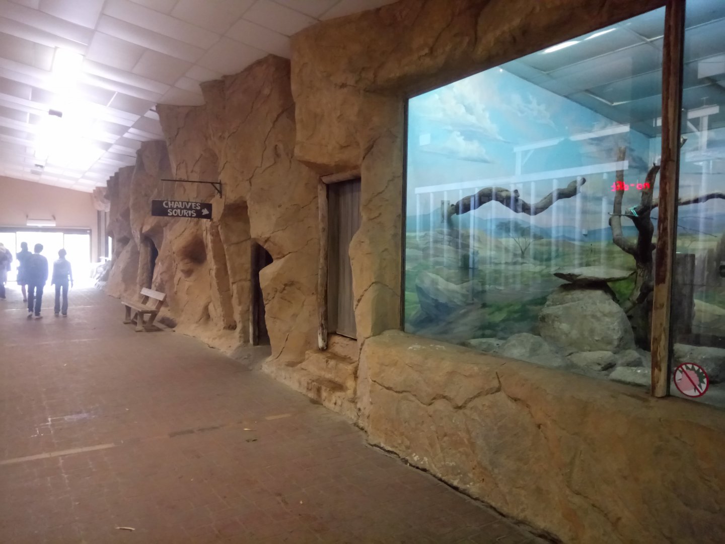 Elephant House : Small Exhibit