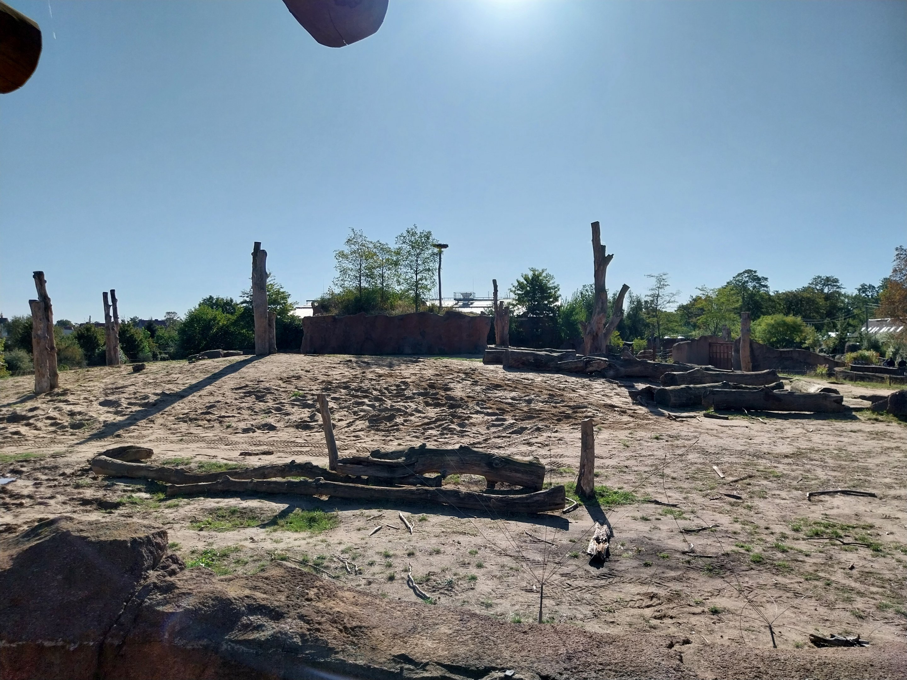 Elephant House - South African Elephant (Loxodonta africana africana)