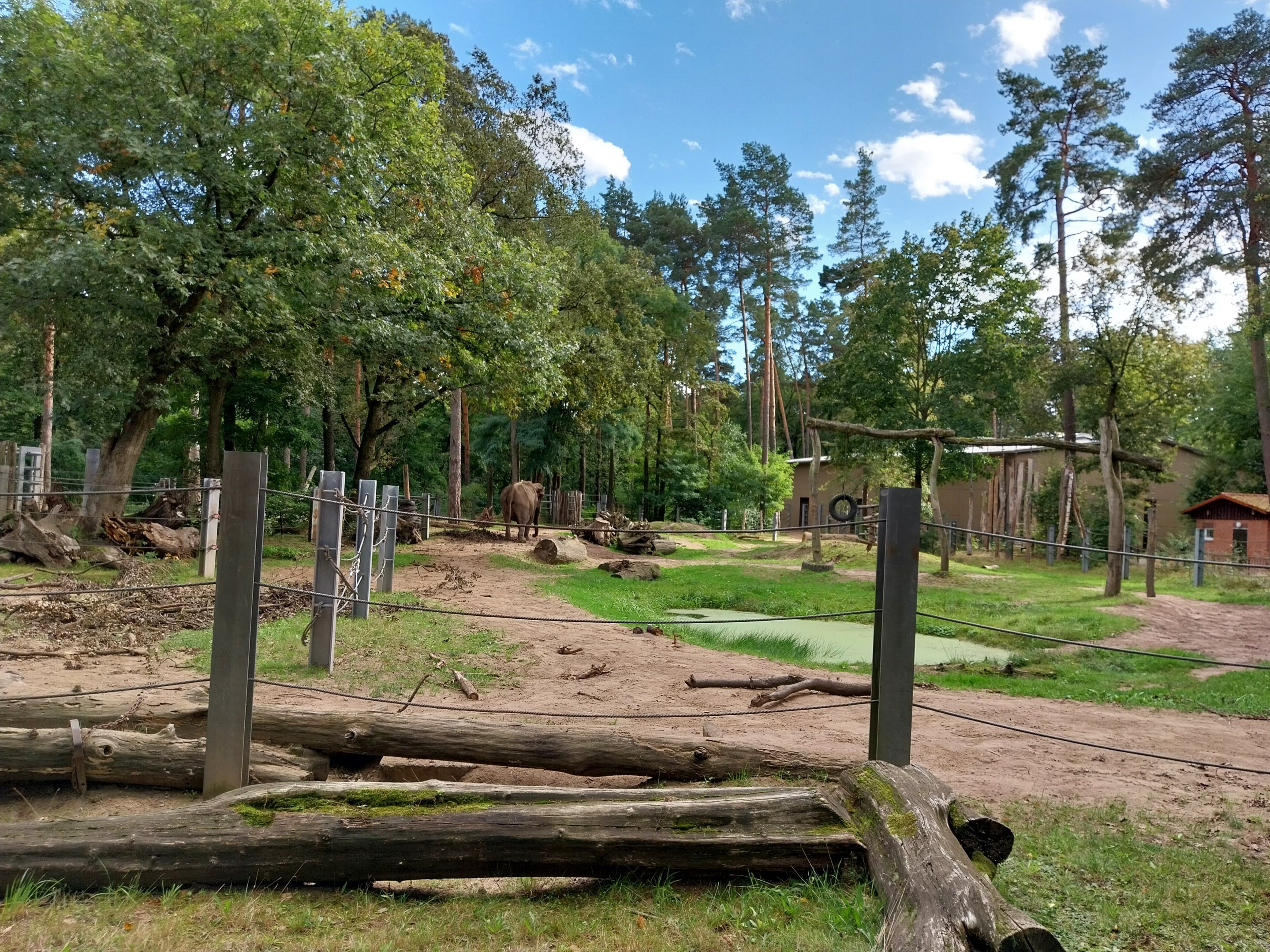 Elephant House - South-East Asian Elephant (Elephas maximus indicus)