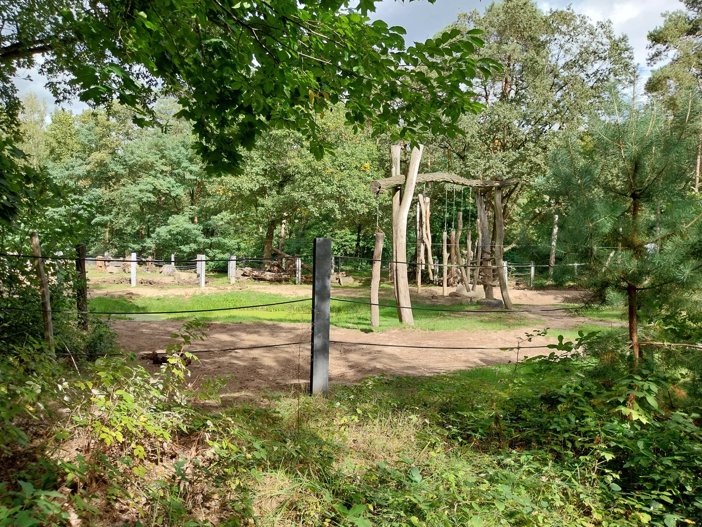 Elephant House - South-East Asian Elephant (Elephas maximus indicus)